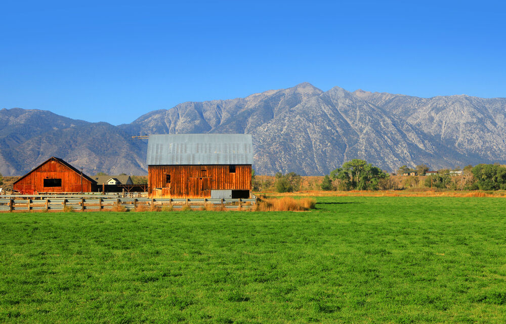 8. Nevada